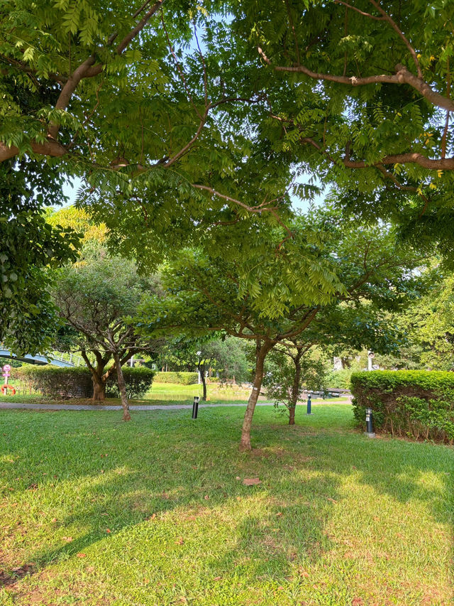 🌿城市裡的綠意綠洲：桃園《風禾公園》，親子野餐滑草超chill！