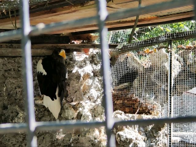 Kaliningrad Zoo