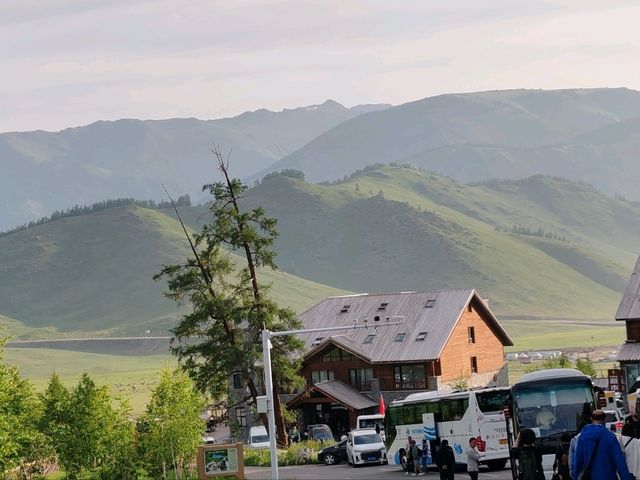 The Birch Forest Resort Hotel: A Tranquil Haven in the Mountains