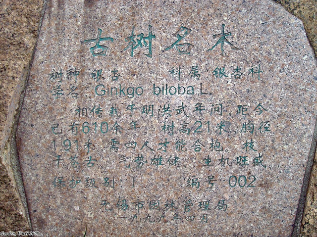 🌿 Xihui Garden Heritage Area — Where Nature, History, and Soul Collide