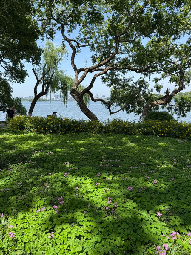 West Lake 🪷