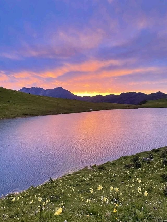 “The Nine-Headed Crown of Sichuan”