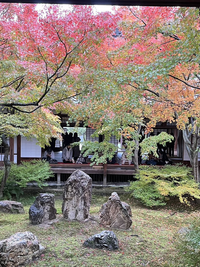 【建仁寺】風神雷神と禅の世界⚡静寂とアートが共存する東山の名刹