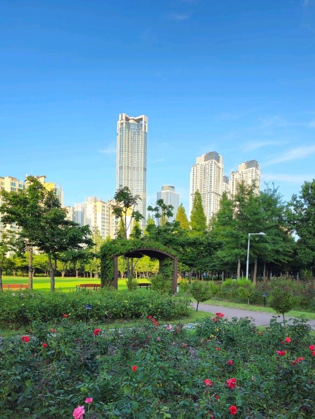 인천에서 가장 이쁜 공원
