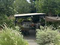 Voyage คาเฟ่ติดห้วย ชาวสุรินทร์เช็คอินด่วน!