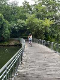 Chatuchak Park สวนจตุจักร