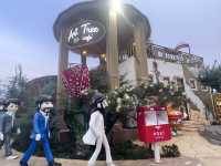 Khaoyai Art tree 