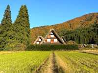 Shirakawa-go: A Fairytale Village in the Mountains