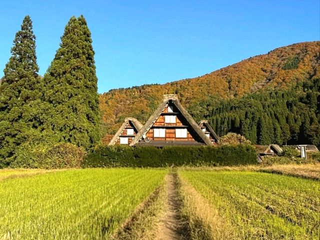 Shirakawa-go: A Fairytale Village in the Mountains