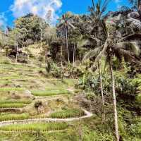 🌾✨ *Tegalalang Rice Terrace: Bali’s Iconic Emerald Staircase* ☀️🌿