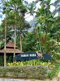 Taman Rusa: Where Cottages, Calm & Deer Meet