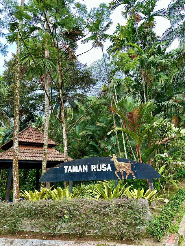 Taman Rusa: Where Cottages, Calm & Deer Meet