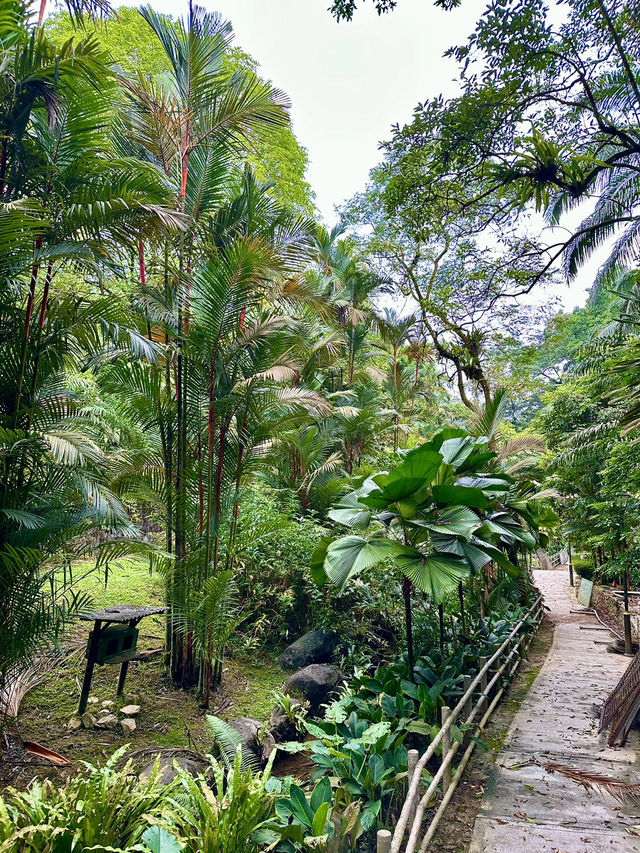 Taman Rusa: Where Cottages, Calm & Deer Meet