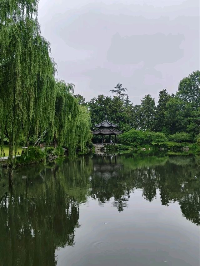Where Koi Paint the Water – West Lake’s Living Silkscape
