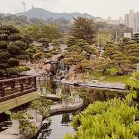 🌿✨ Escape to Tranquility: Discover Nan Lian Garden – Hong Kong’s Hidden Oasis! ✨🌿