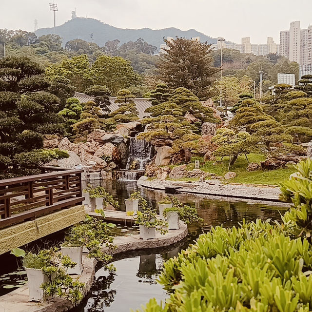 🌿✨ Escape to Tranquility: Discover Nan Lian Garden – Hong Kong’s Hidden Oasis! ✨🌿