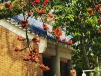 🇨🇳 A Monument of Legacy — Sun Yat-sen Memorial Hall, Guangzhou