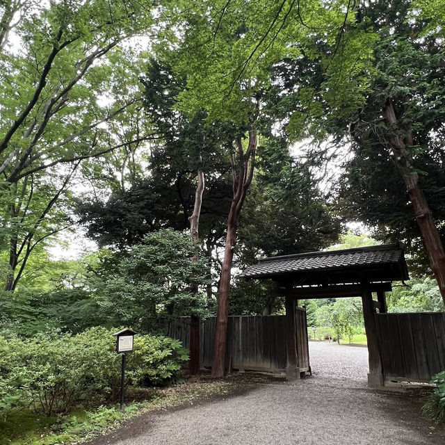 【東京/駒込🇯🇵】四季折々の幽玄なる美の世界✨六義園