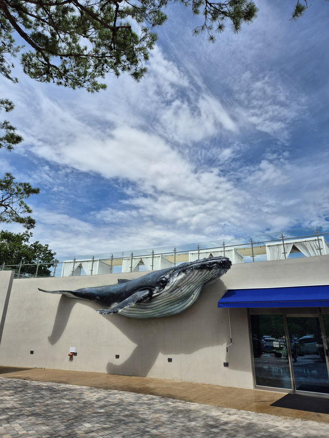 🐋 원주 카페 고래호수, 자연 속 야외 공간에서 힐링하는 시간 🌲
