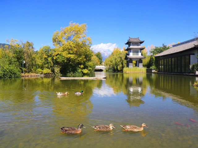 Mountain Majesty Meets Modern Luxury: Pullman Resort Lijiang