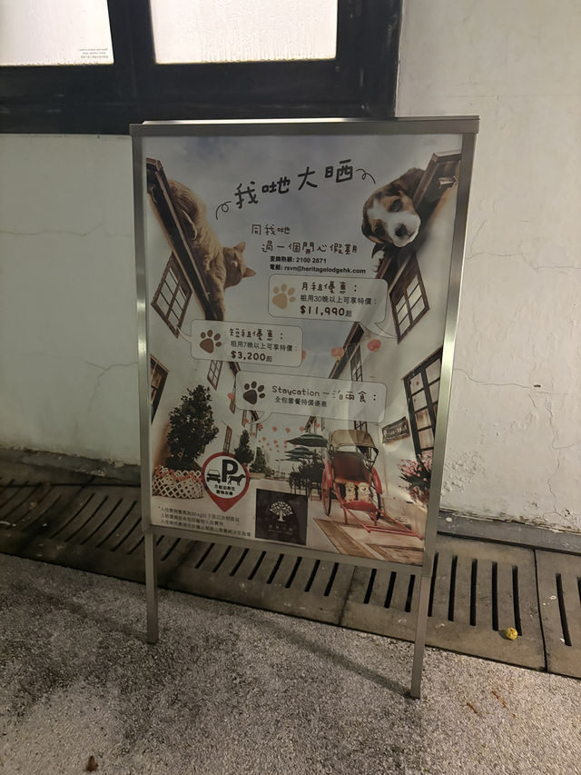 【香港隱世文青首選 翠雅山房】🇭🇰✨ 【香港隱世文青首選 翠雅山房】🇭🇰✨