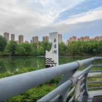 🌿 Yintan Wetland Park — Nature’s Calm by the Sea
