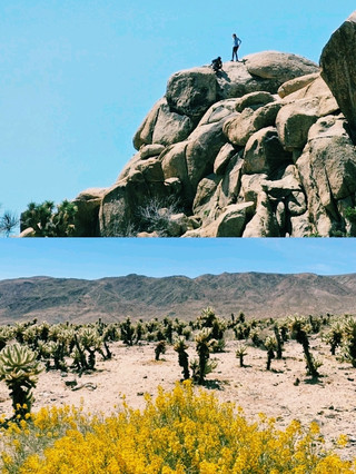 A Day in LA, Embracing Endless Freedom