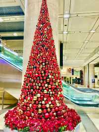 ✨横浜駅周辺で楽しむ!2025-2026 クリスマスめぐり🎄✨