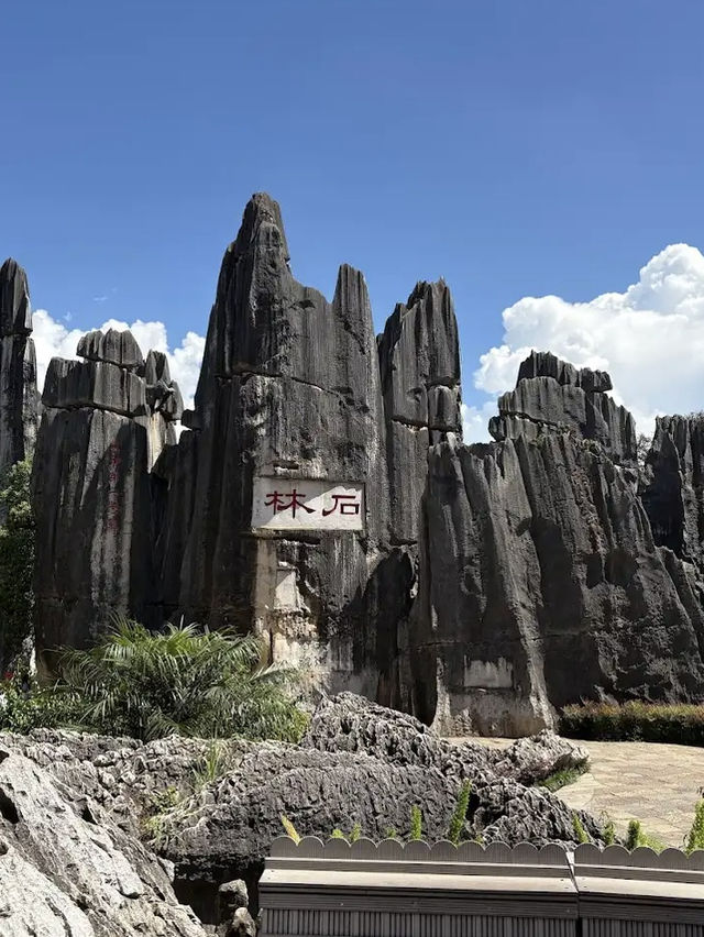 ✈️เที่ยวคุนหมิง Kunming |แพลน 3–4วัน ครบแลนด์มาร์ค