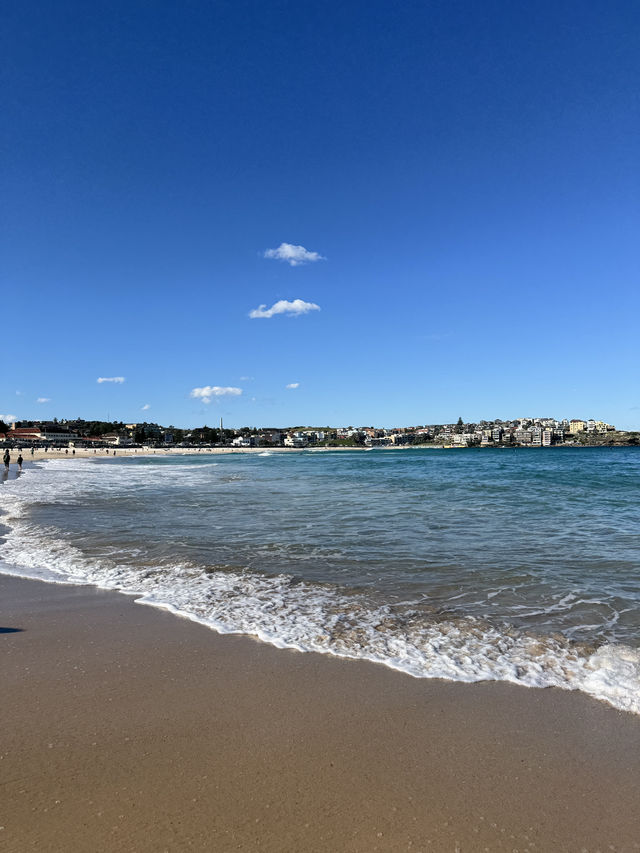 🇦🇺 這是一份詳盡的邦迪海灘遊玩攻略🌊🌊