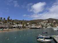 미스터트롯3 TOP7과 함께한 환상의 크루즈 여행, 카탈리나 섬과 엔세나다에서 선상 갈라쇼까지!