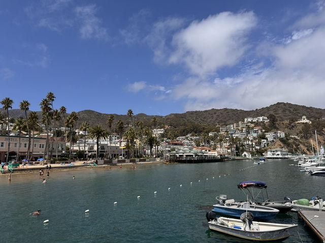 미스터트롯3 TOP7과 함께한 환상의 크루즈 여행, 카탈리나 섬과 엔세나다에서 선상 갈라쇼까지! 미스터트롯3 TOP7과 함께한 환상의 크루즈 여행, 카탈리나 섬과 엔세나다에서 선상 갈라쇼까지!