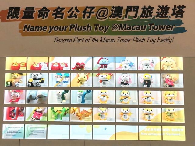 澳門｜澳門旅遊塔