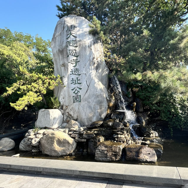 🏛 Da Ci’en Temple Ruins Park 大慈恩寺遗址公园 — Tang Dynasty Echoes in the Modern City
