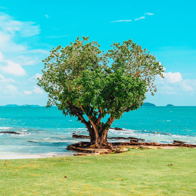 Sai Kaew Beach Resort  