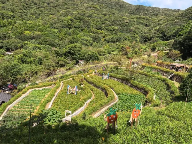 Bamboo Lake Hometown Daylily Farm