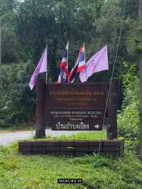 บ้านป่าบงเปียง เสน่ห์นาขั้นบันไดแห่งเชียงใหม่