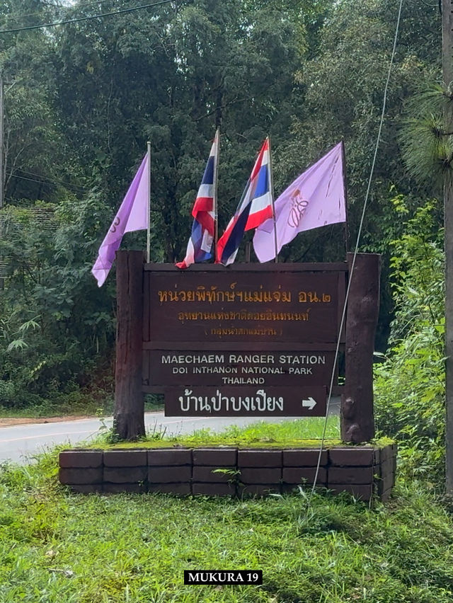 บ้านป่าบงเปียง เสน่ห์นาขั้นบันไดแห่งเชียงใหม่
