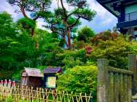 Gokokuji Temple – A Monument to Peace and Resilience