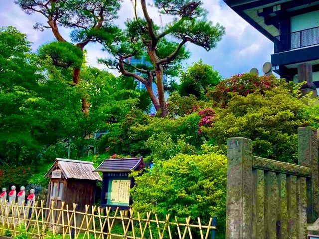Gokokuji Temple – A Monument to Peace and Resilience