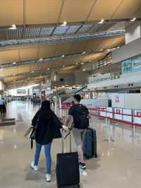 新潟 無法形容的美麗城市
