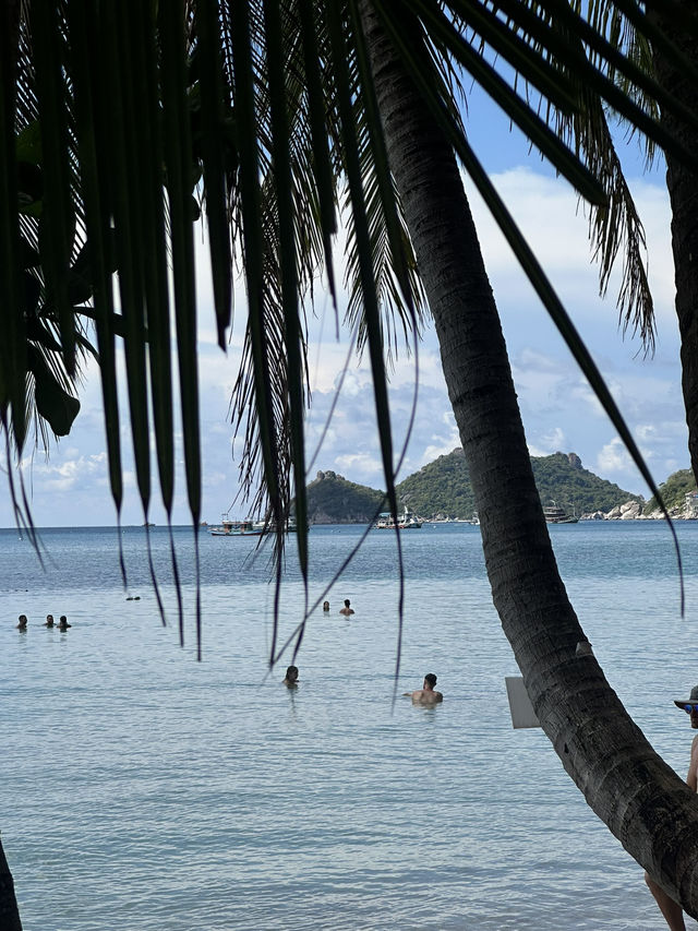 Sai Ri Beach  @Koh Tao💚🏝️