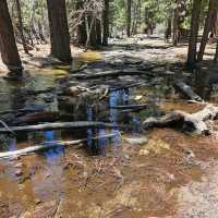 Mount San Jacinto State Park (Idyllwild)