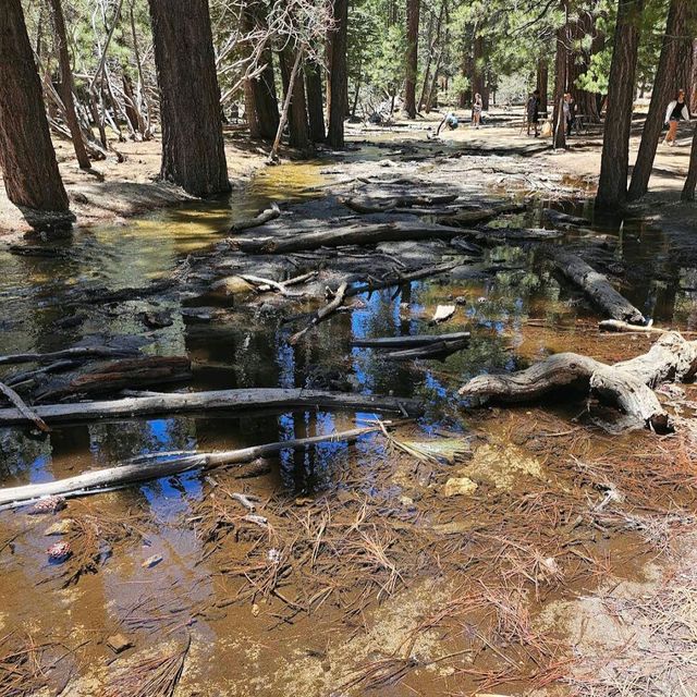 Mount San Jacinto State Park (Idyllwild)