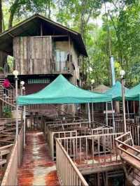 The Giant Chiangmai คาเฟ่บนต้นไม้