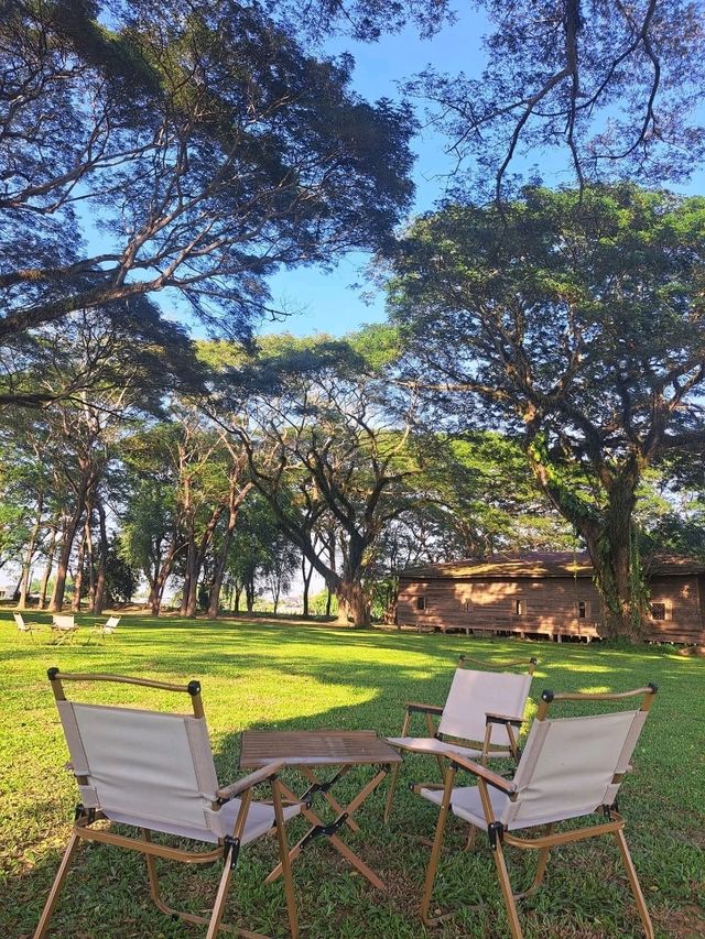 คาเฟ่ลับๆ ริมน้ำน่าน บรรยากาศเงียบสงบ คาเฟ่ลับๆ ริมน้ำน่าน บรรยากาศเงียบสงบ