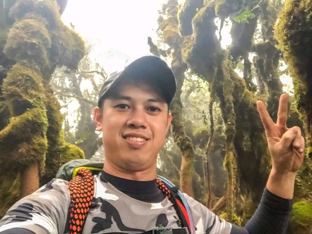 Mossy Forest──雲霧間的夢幻秘境