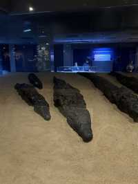 🌟 Crocodile Museum – Aswan, Egypt