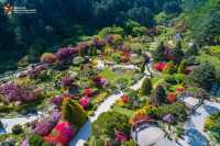 SUMMER MINI TOUR – Nami Island + Garden of Morning Calm (Day Trip from Seoul)