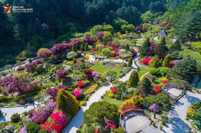 SUMMER MINI TOUR – Nami Island + Garden of Morning Calm (Day Trip from Seoul) SUMMER MINI TOUR – Nami Island + Garden of Morning Calm (Day Trip from Seoul)